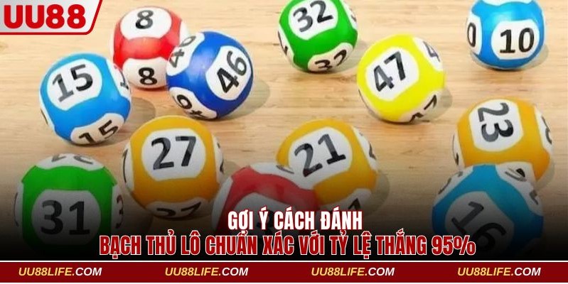 bạch thủ lô